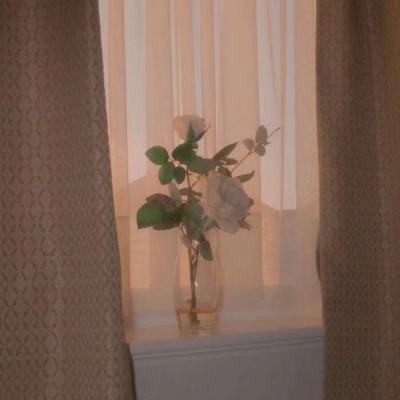 W是獅子還是大貓咪