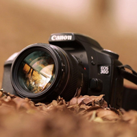 孝陵衛(wèi)威斯布魯克